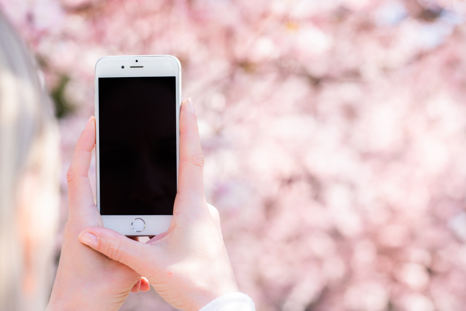 A person holding a smartphone