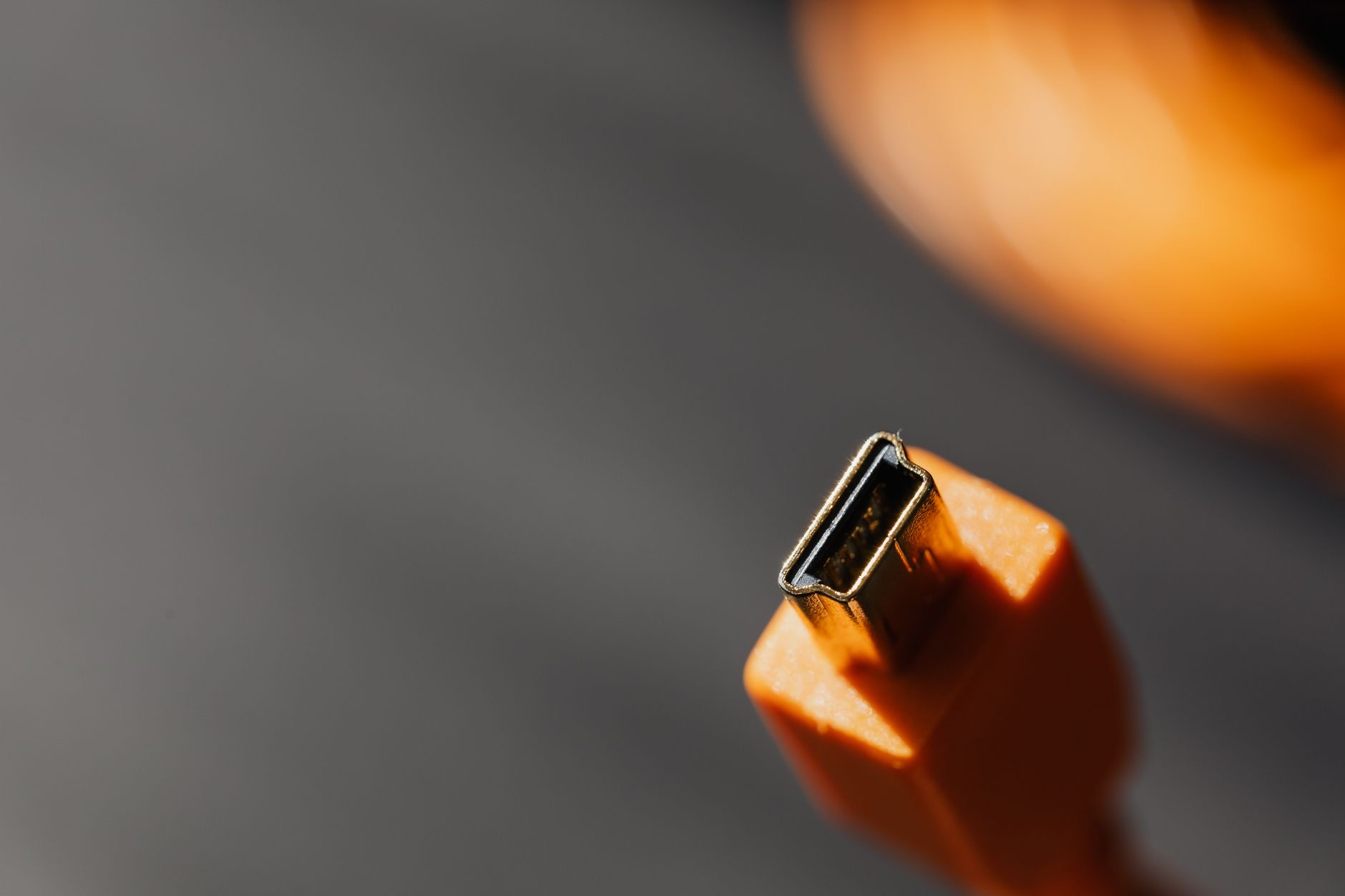 Close-up of a small accessory