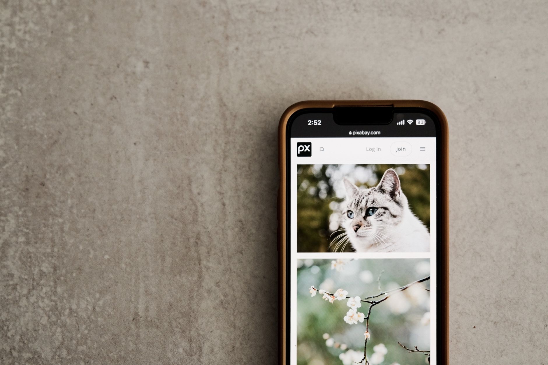 Close-up of photos on a phone