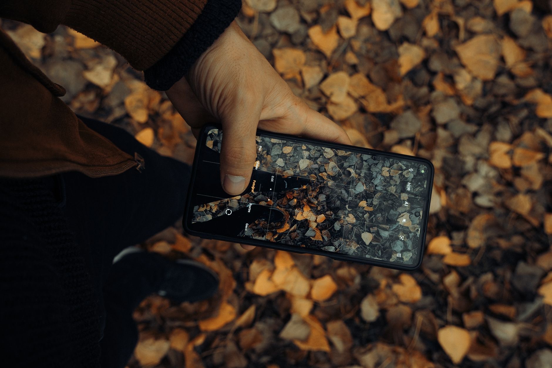Someone framing a photo on a phone