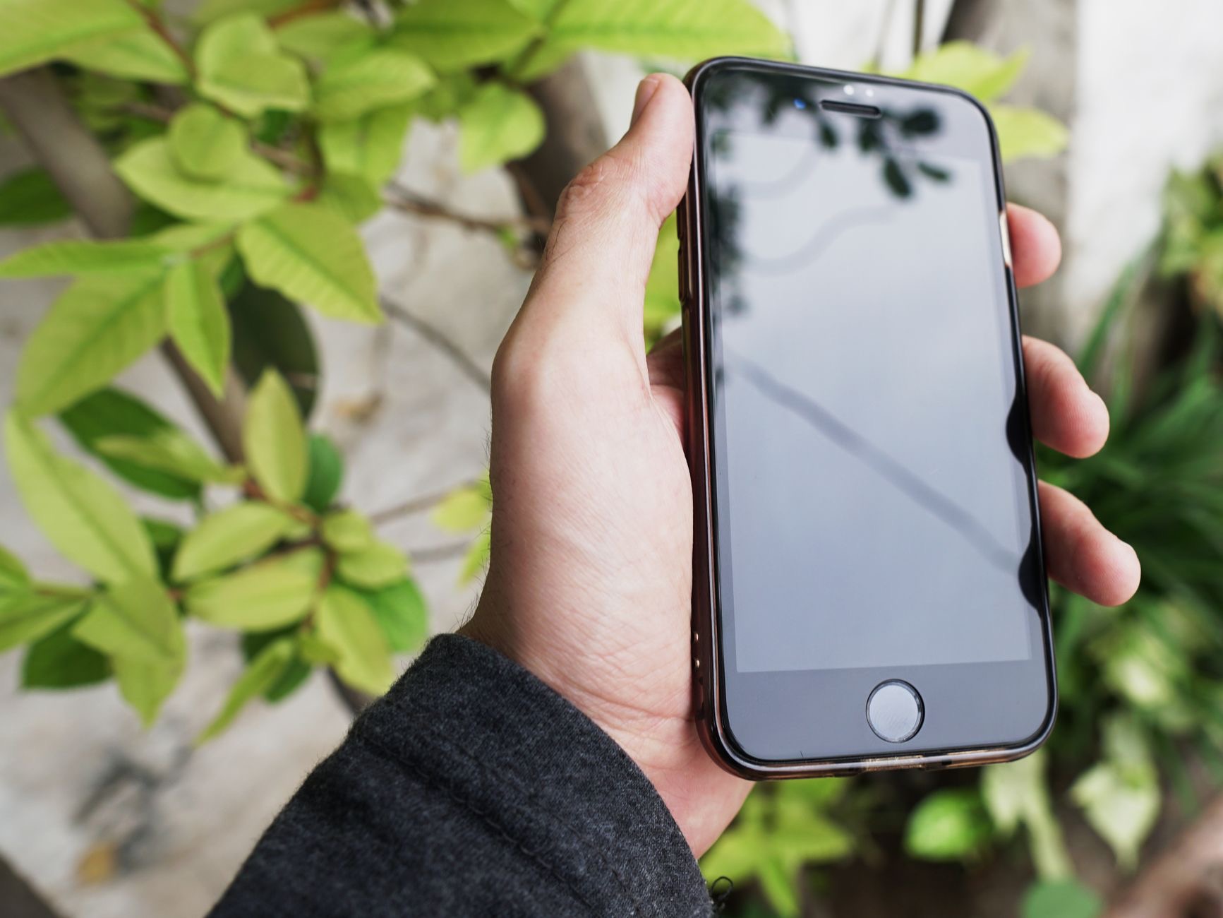 Person holding an iPhone