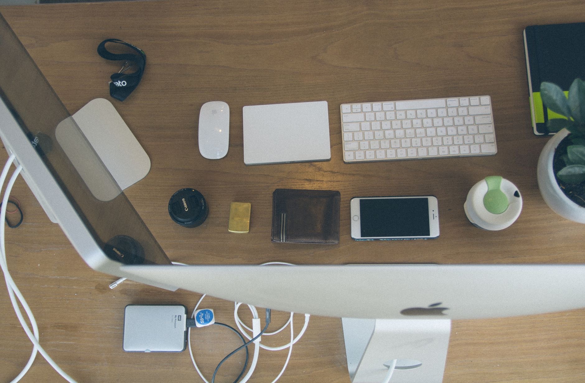Magic Mouse vs Magic Trackpad: Which Is Right for Your Mac?
